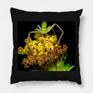 Unique and organic photo of a spider waiting on the flower for the next prey Pillow