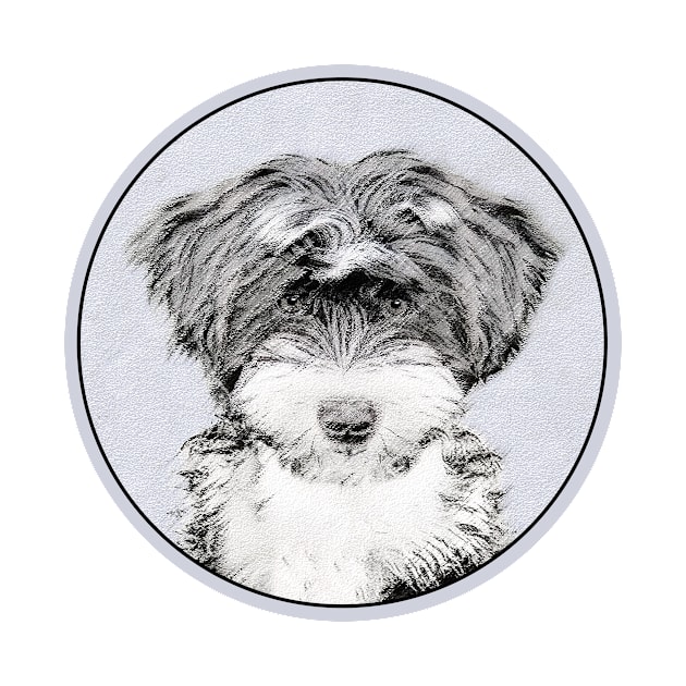 Tibetan Terrier by Alpen Designs