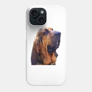 Hunting dog - Bloodhound Phone Case