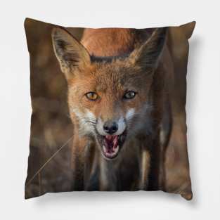 Fox Pillow