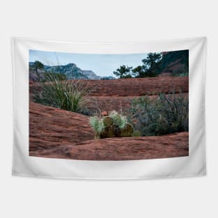 Sedona Cactus Tapestry