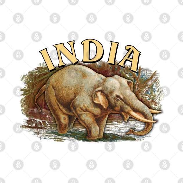 India Wildlife - Indian Elephant by TMBTM