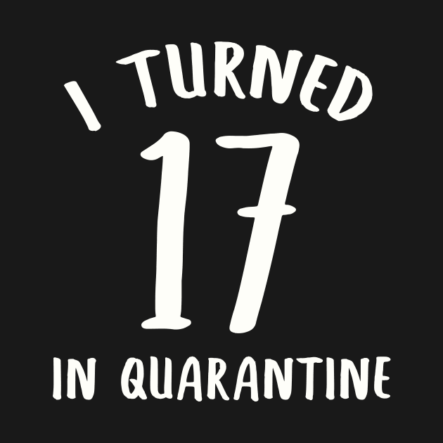 I Turned 17 In Quarantine by llama_chill_art