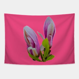 Magnolia flower Tapestry