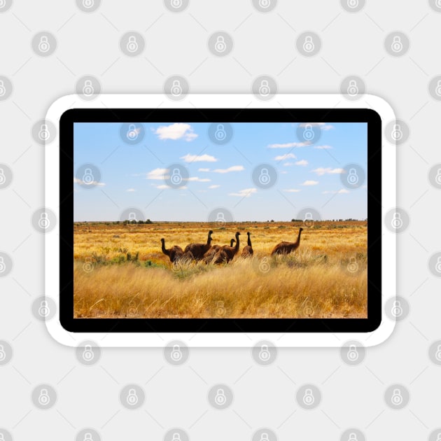 Emus in the Outback! Magnet by Mickangelhere1