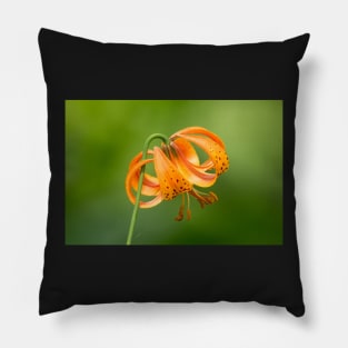 Tiger Lily Pillow