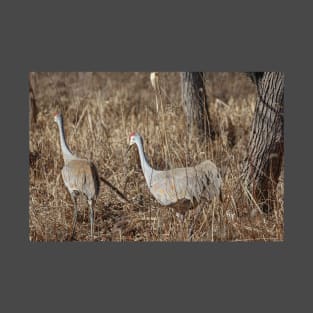 Michigan Sandhill Cranes T-Shirt