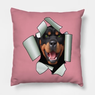 Cartoon Style Rottweiler Dog Poking Its Head Through Ripped Paper Pillow