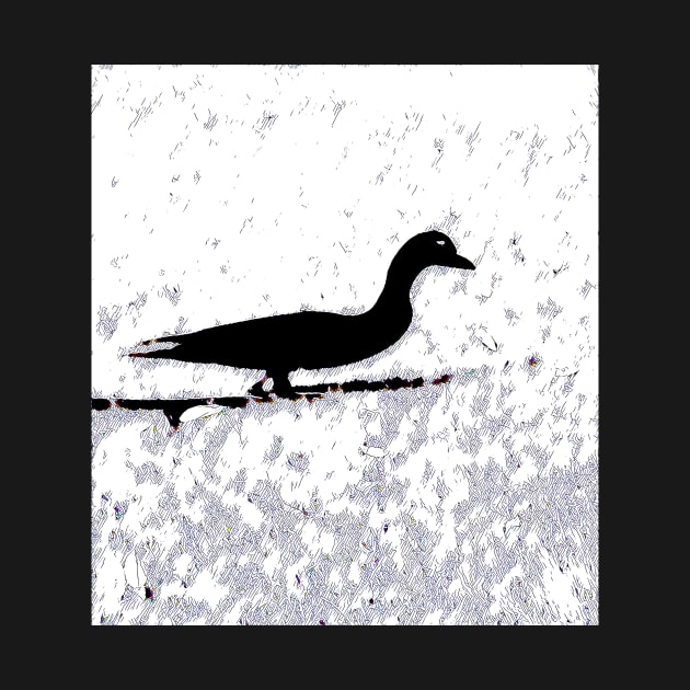 Frozen Duck Duck Shadow by Tovers