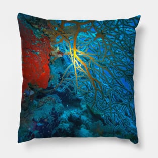 Red Coral In The Red Sea Pillow