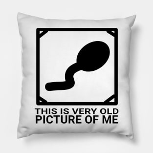 Old pict Pillow