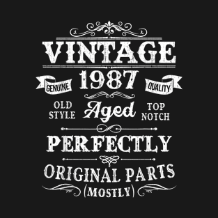 Vintage 1987 33rd Birthday Gift 33 Years Old T-Shirt