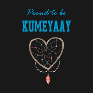 Native American Kumeyaay Dreamcatcher 45 T-Shirt