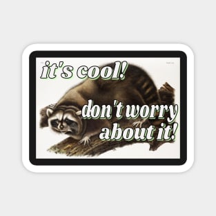 it's cool! don't worry about it! little guy raccoon Magnet