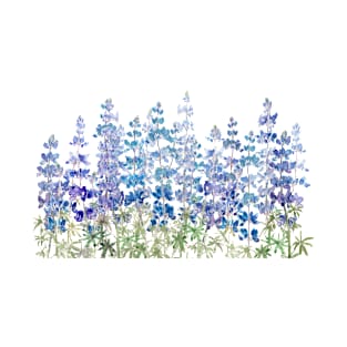 blue purple lupin flowers field horizontal T-Shirt