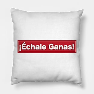 Echale Ganas Pillow