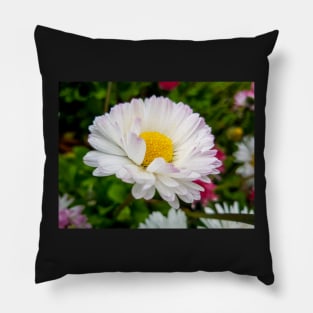 White Daisy Flower Pillow