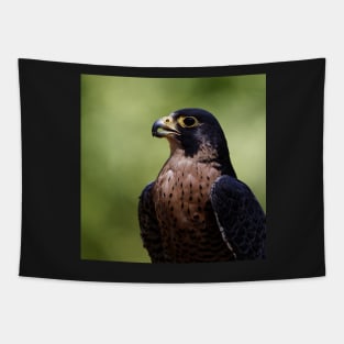 Peregrine Falcon Tapestry