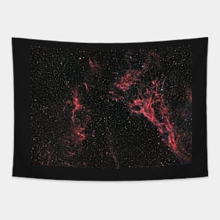 Pickering's Triangle nebula and NGC 6974 nebula in constellation Cygnus Tapestry