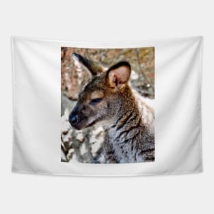 Wallaby Tapestry