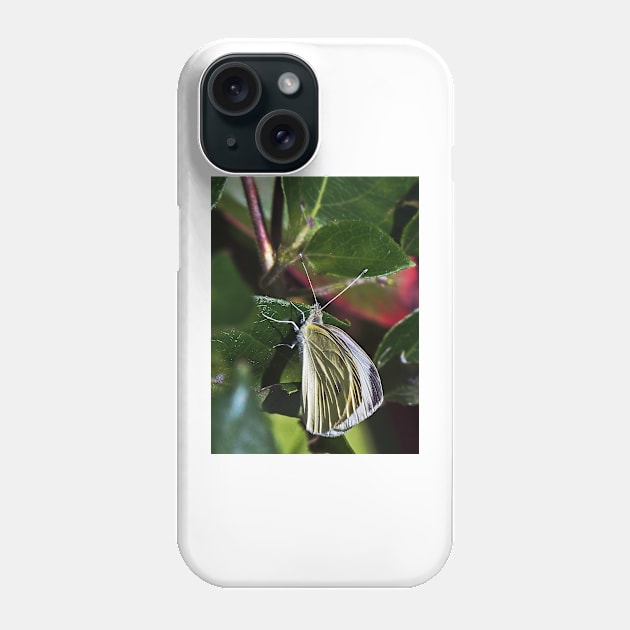 LE PANASONIC FZ 200 PAR OKAIO CRÉATION Phone Case by caillaudolivier