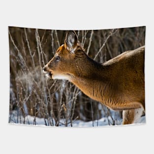 White-tailed Deer Tapestry