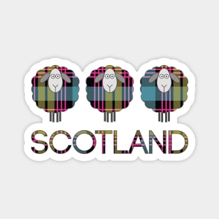 Trio of Scottish Pink, Blue and Yellow Tartan Patterned Sheep Magnet