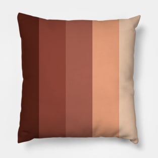 5 Colors gradient. Chocolate. Pillow