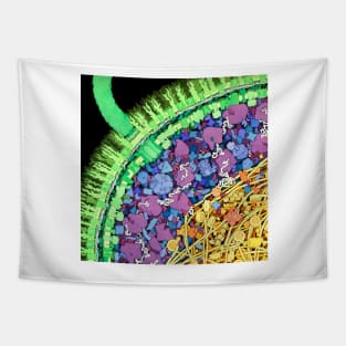 Escherichia coli, artwork (B230/0244) Tapestry