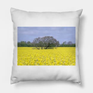 English summer landscape Pillow