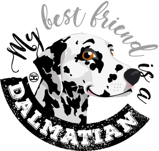 My Best Friend is a... Dalmatian Magnet