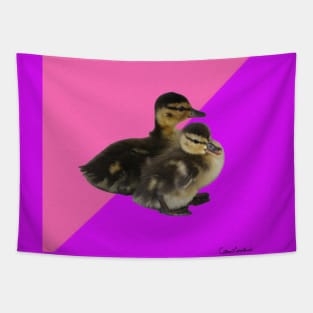 Baby Ducks on Pink Raspberry and Purple Sorbet Tapestry