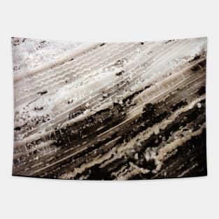 Winter Snow Storm  no. 2 Tapestry