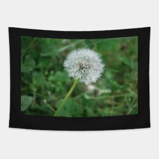 Make a Wish Dandelion Tapestry