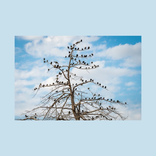 Birds Giving Life to a Dead Tree by Debra Martz by Debra Martz
