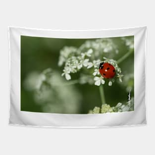 Ladybug & Hemlock Tapestry