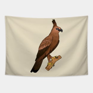 Javan hawk eagle bird cartoon illustration Tapestry