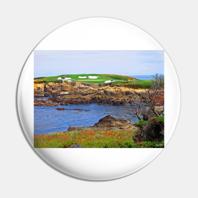 16th Hole at Cypress Point Pin by terryhuey