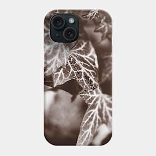 ‘White Lines’ - wild Ivy in sepia tones Phone Case