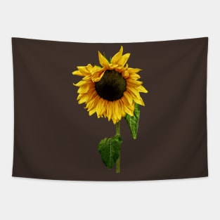 Sunflowers - Sunflower With Peakaboo Bangs Tapestry