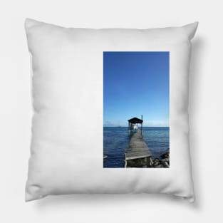 the sun and the beach in landscape architectural in honduras photo Pillow