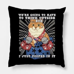 Funny Cat Meme I've Pooped into Box Pillow