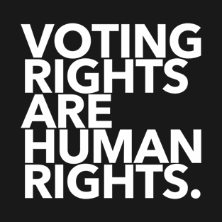 Voting Rights are Human Rights T-Shirt