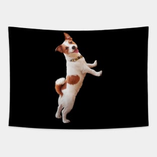 Jack Russell Terrier Tapestry