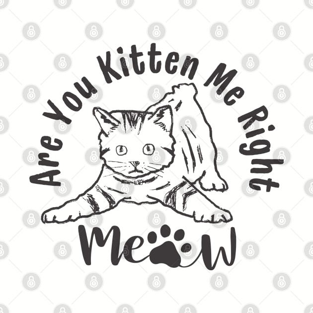 Are You Kitten Me Right Meow Funny Cat Lover Quote by Illustradise