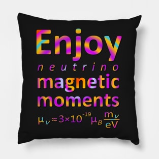 Enjoy Neutrino Magnetic Moments Pillow