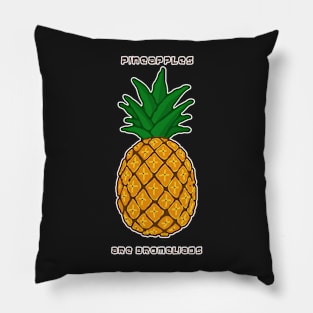 Pineapples Are Bromeliads Pillow