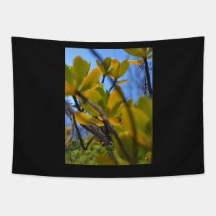 Red mangrove Tapestry