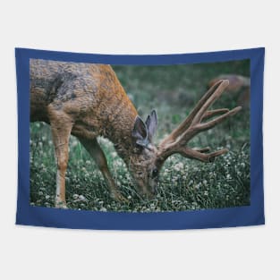 Wild life design Tapestry