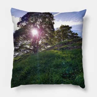 Sun Through a Tree Pillow